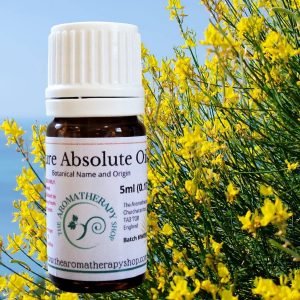 Broom / Genet Absolute Oil (Origin Italy)