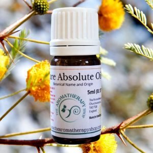 Sweet Acacia Absolute Oil / Origin France