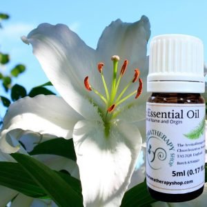 Lily Essential Oil / Origin France