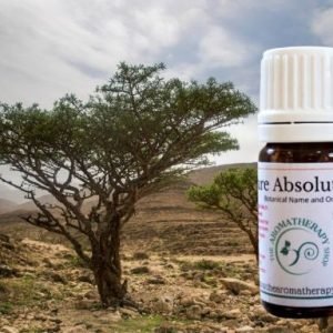 Frankincense (Olibanum) Absolute in 50% DPG