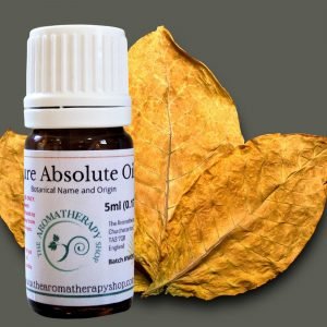 Tobacco Absolute Oil / Warm and Aromatic