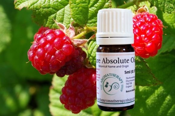 Raspberry Leaf Absolute / Origin France