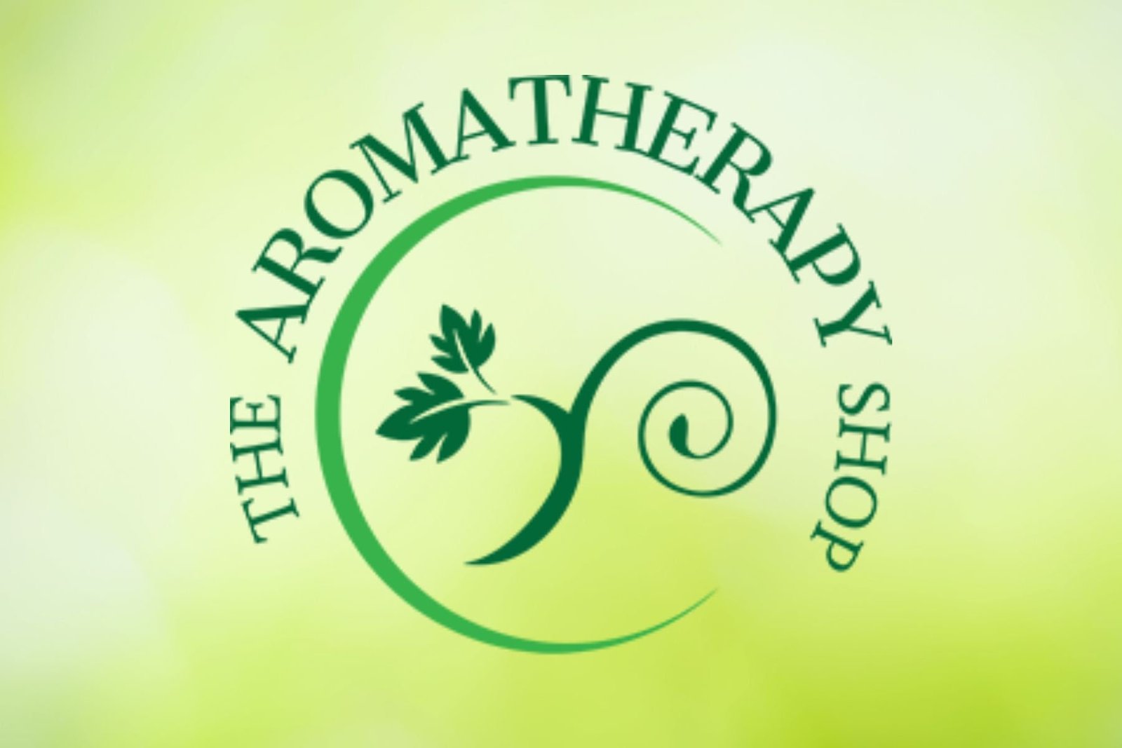 Lemon Basil Essential Oil Dilution / Organic - Image 2