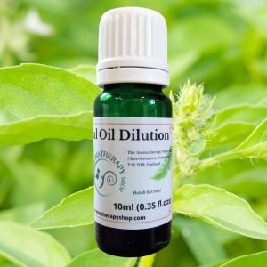 Lemon Basil Essential Oil Dilution / Organic