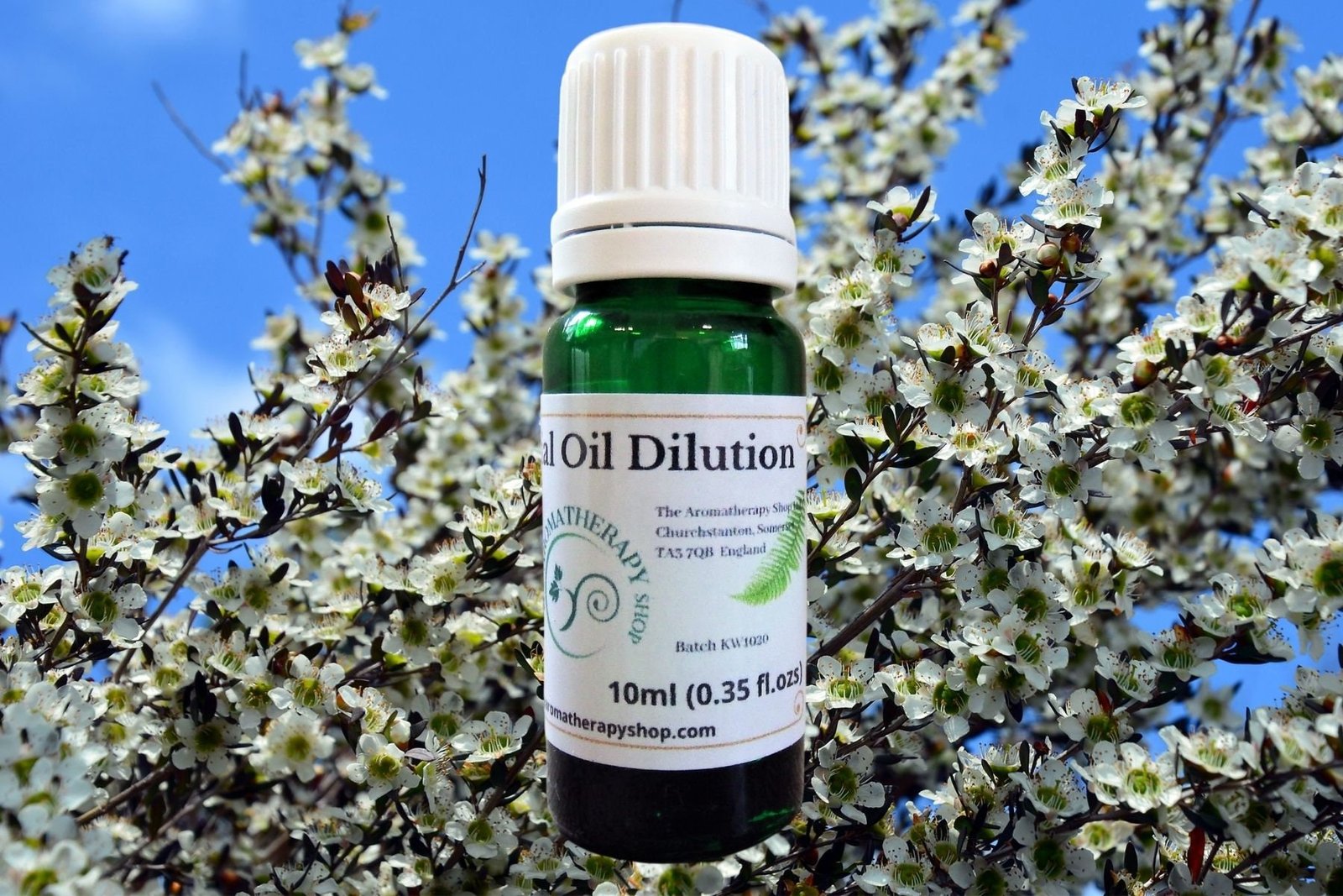 Lemon Tea Tree Essential Oil Dilution
