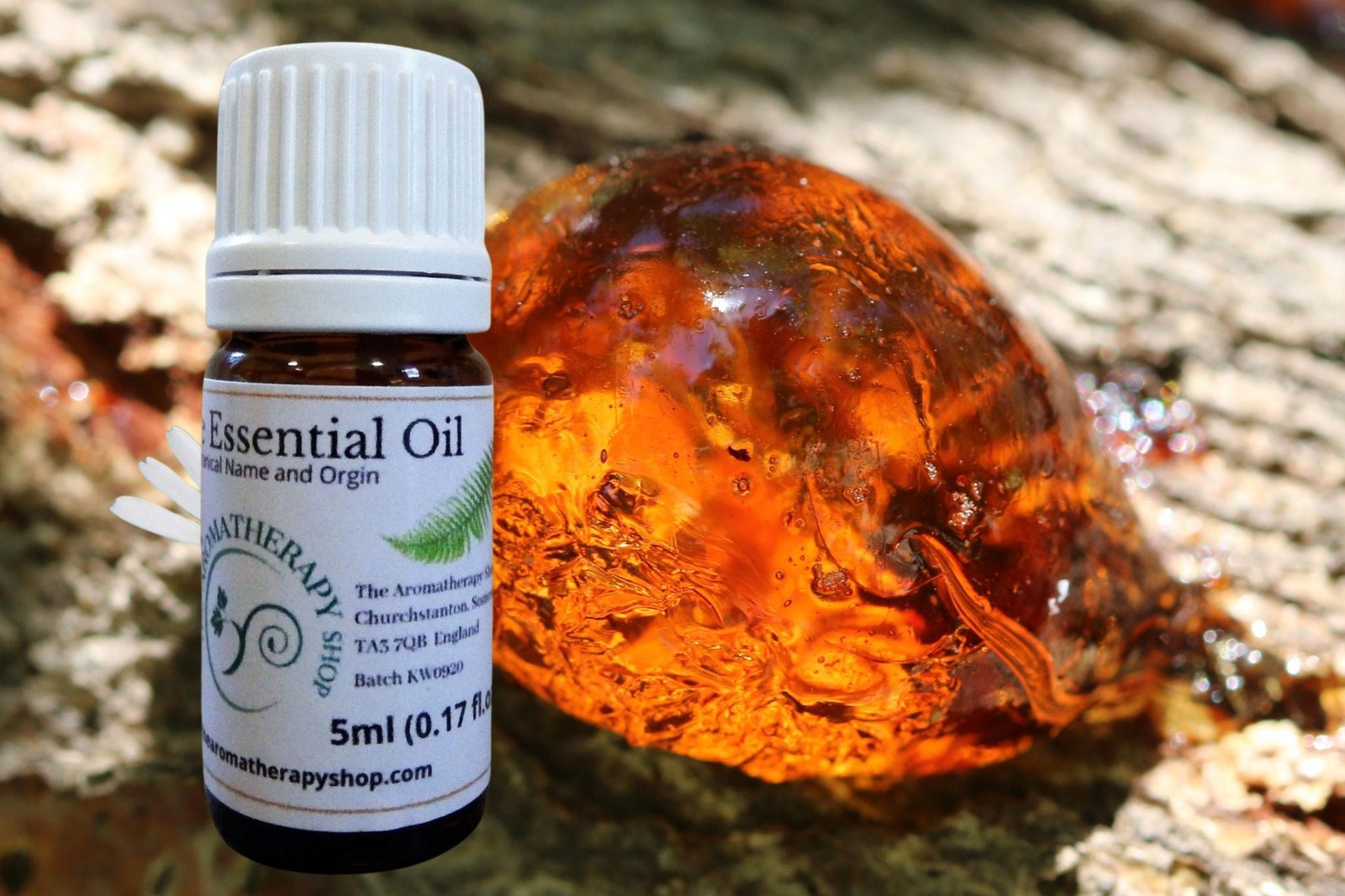 Amber Resin Oil / Woody, Smoky and Leathery