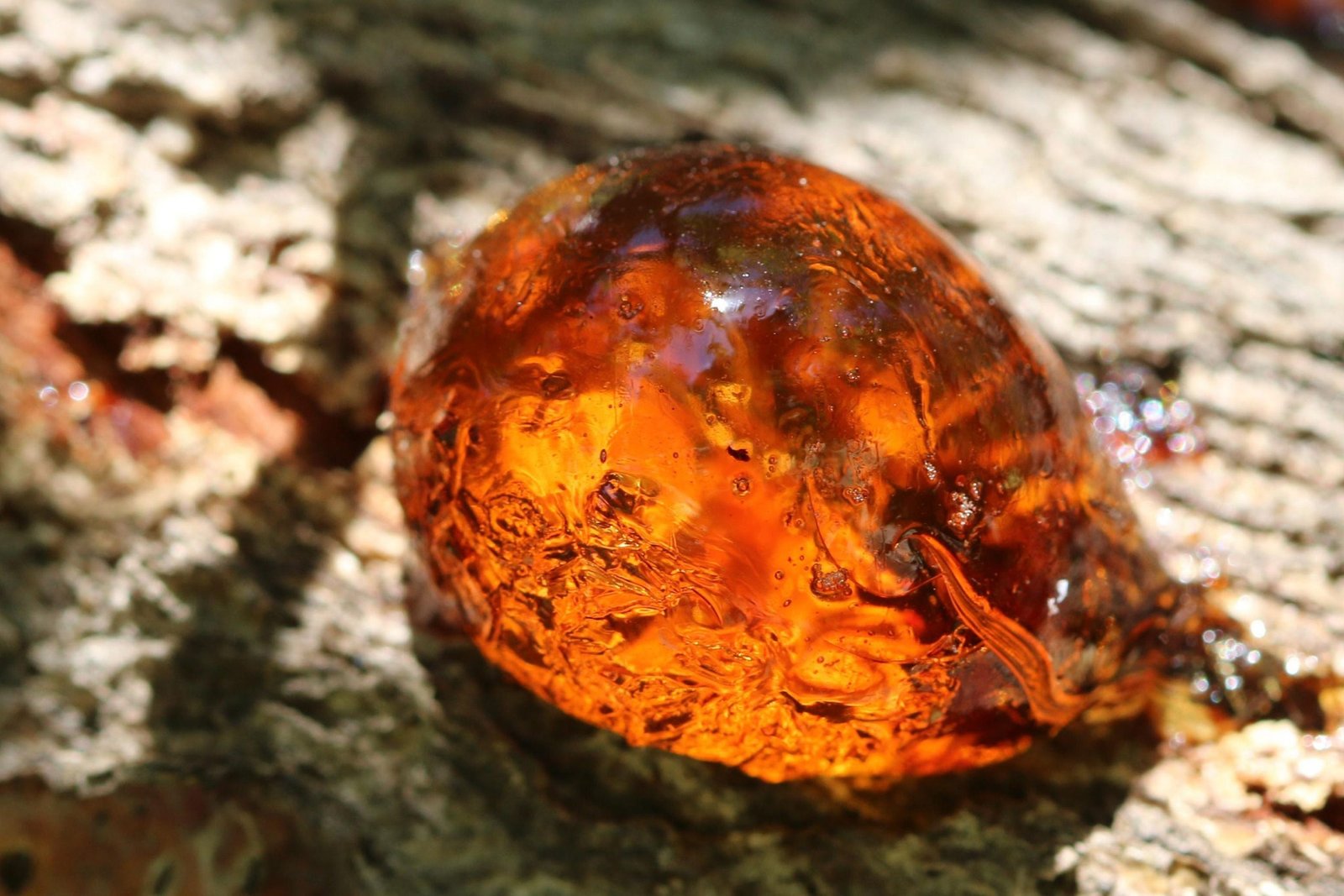 Amber Resin Oil / Woody, Smoky and Leathery - Image 2
