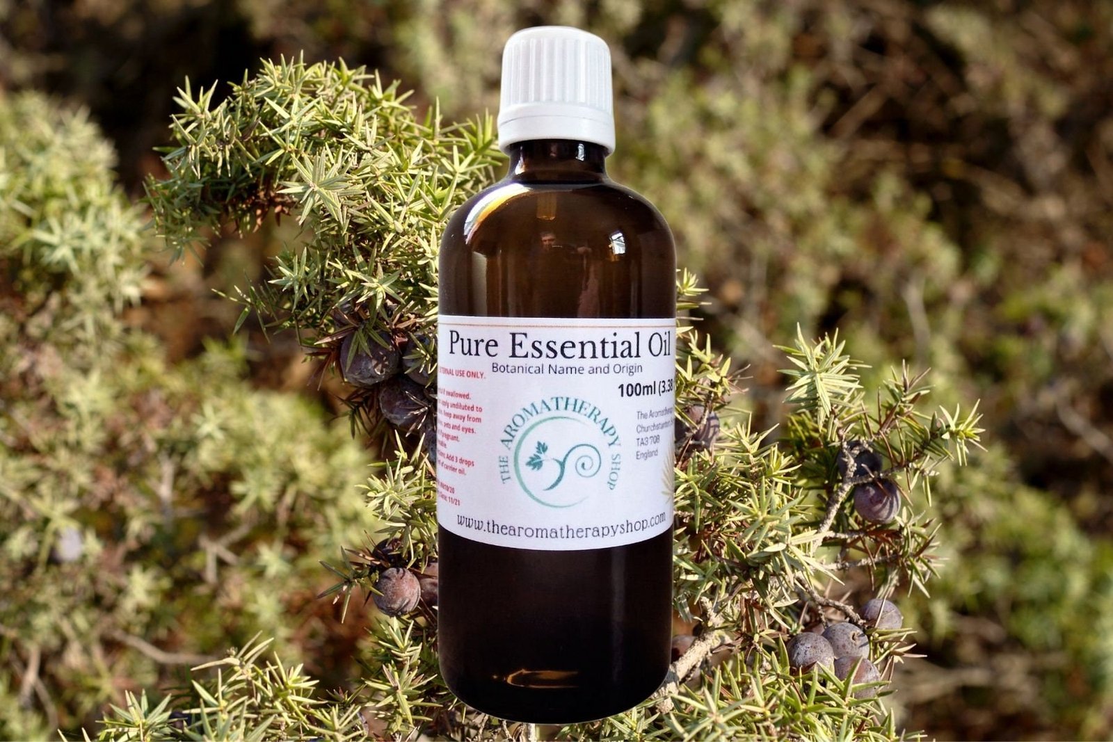 Cade Pure Essential Oil - Image 4