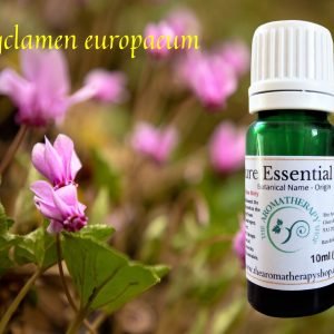 Cyclamen Pure Essential Oil / Origin Turkey
