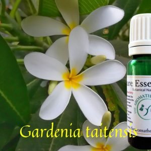 Gardenia of Tahiti Pure Essential Oil