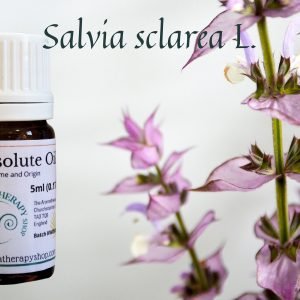 Clary Sage Absolute / Origin France