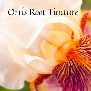 Perfumers Orris Root Tincture 10% / Prepared in the Classical French Way