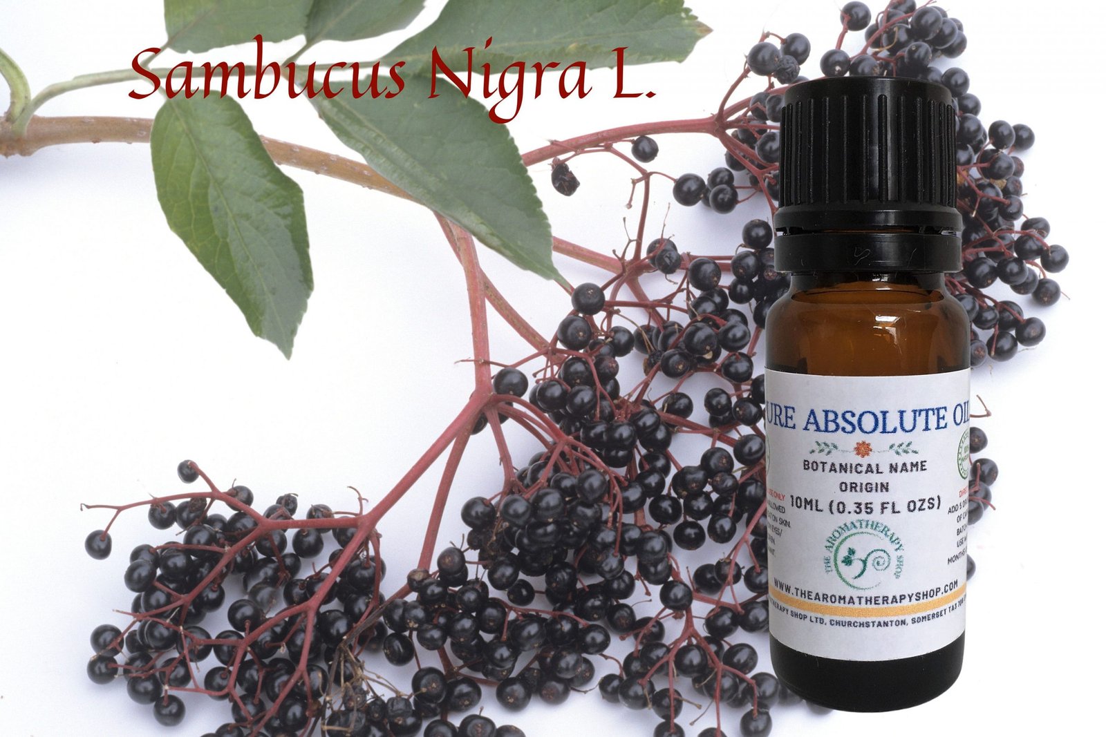 French Elderflower Absolute / pourable liquid form in DPG