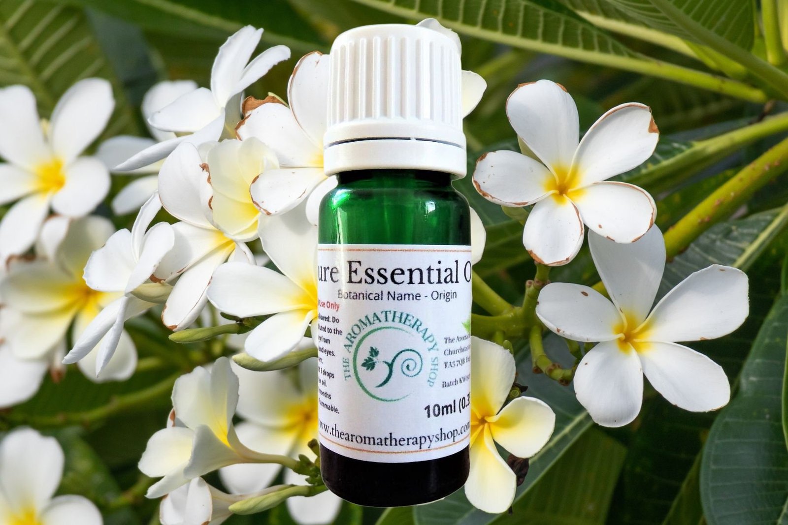 Indonesian Frangipani Essential Oil / Hard to find